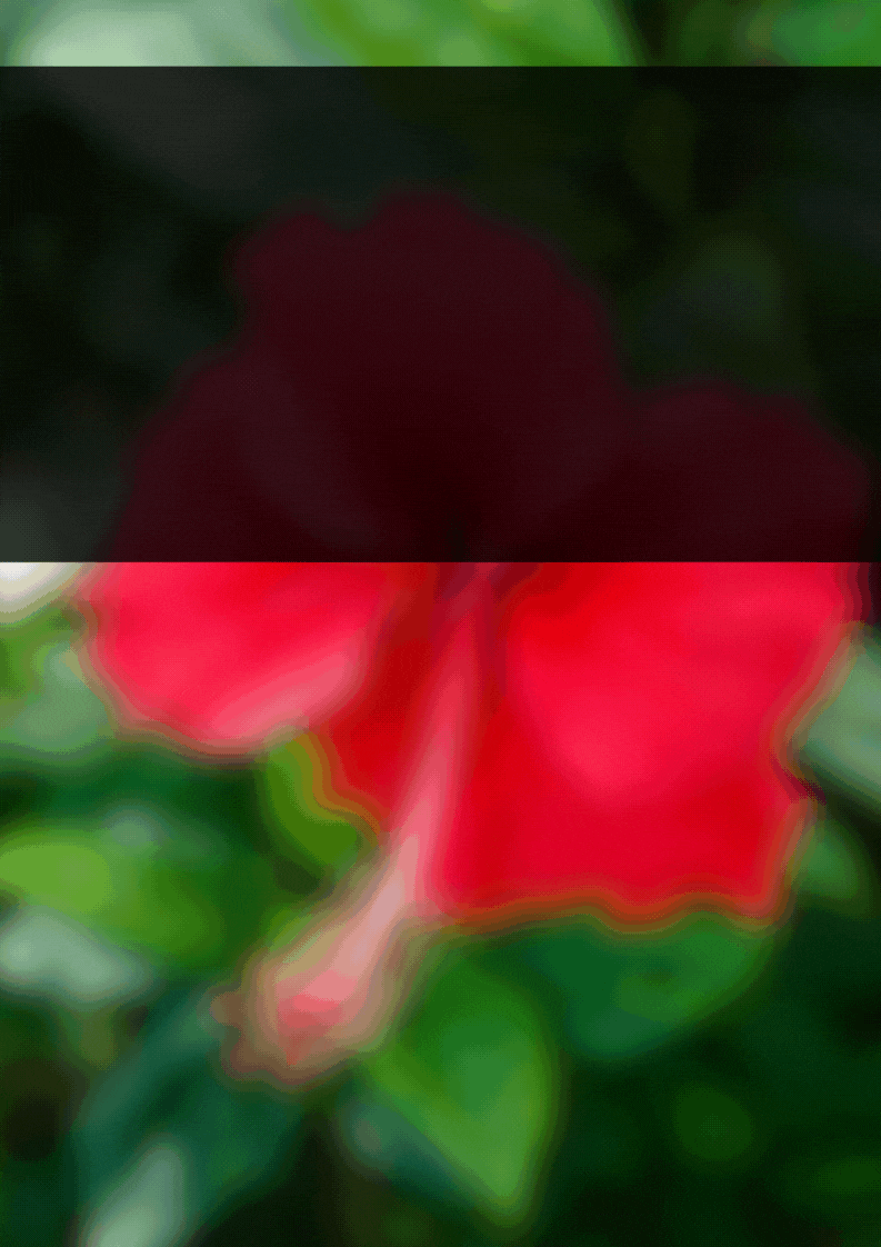 End Cover